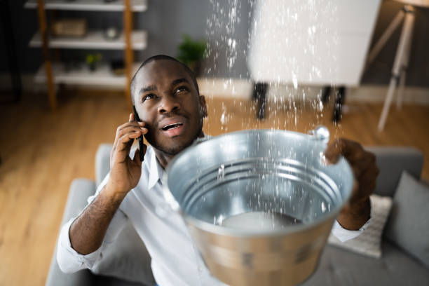 Best Professional water damage repair  in Manton, MI