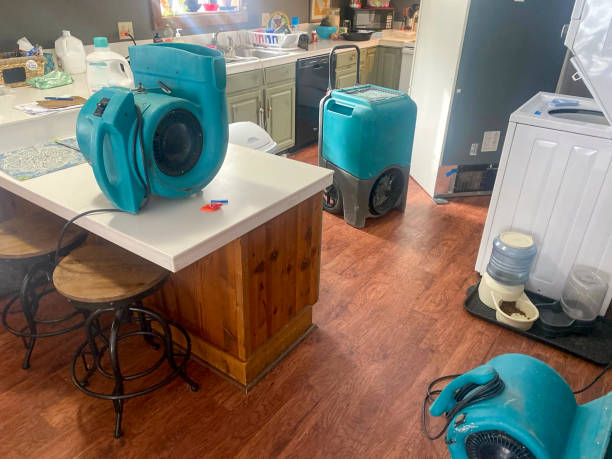 Best 24-hour water damage restoration  in Manton, MI