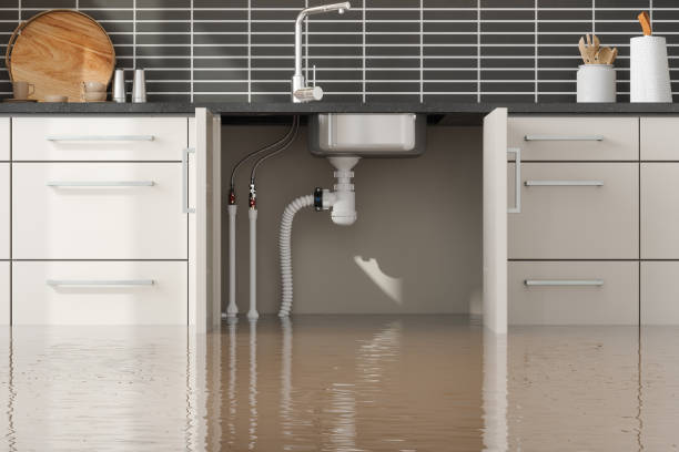 Best Ceiling water damage repair  in Manton, MI